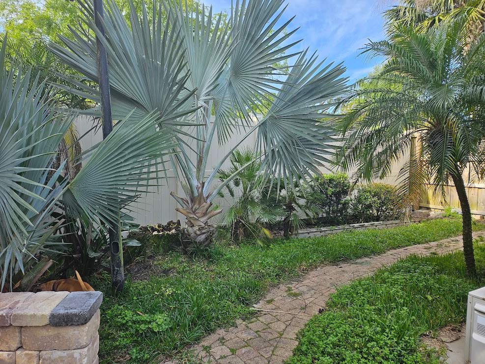 Landscape Install & Clean Up | Residence by ProGreen Services