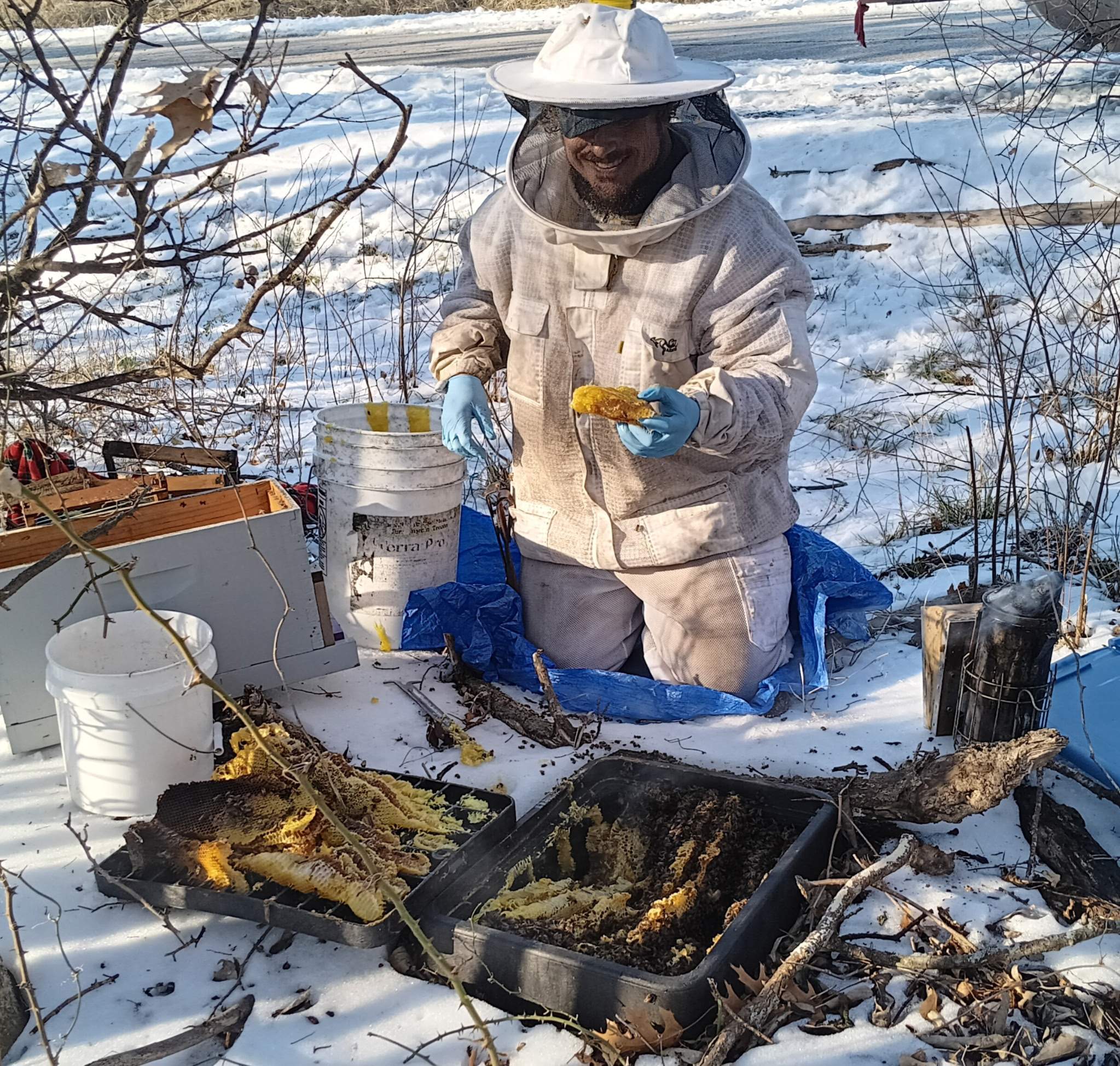 Winter Freeze Bees by Rockwall Honey Bee Company