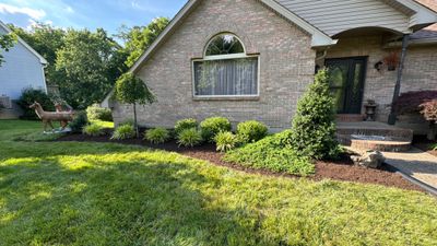 Clean Up, Edge, Prune & Mulch