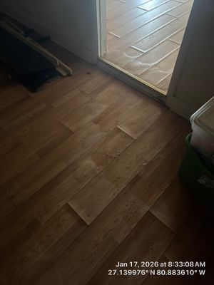 Mold Remediation