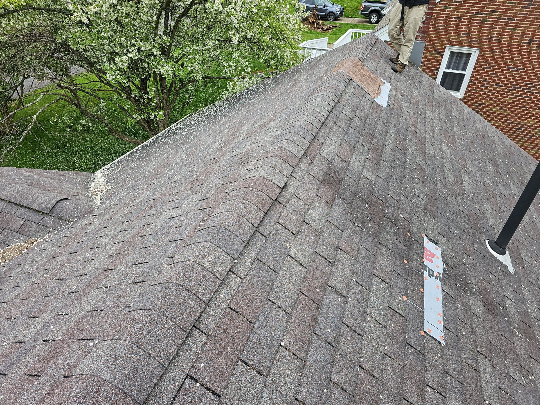 ATLAS PINNACLE COLOR: MORNING HARVEST by Eagle Eye Roofing