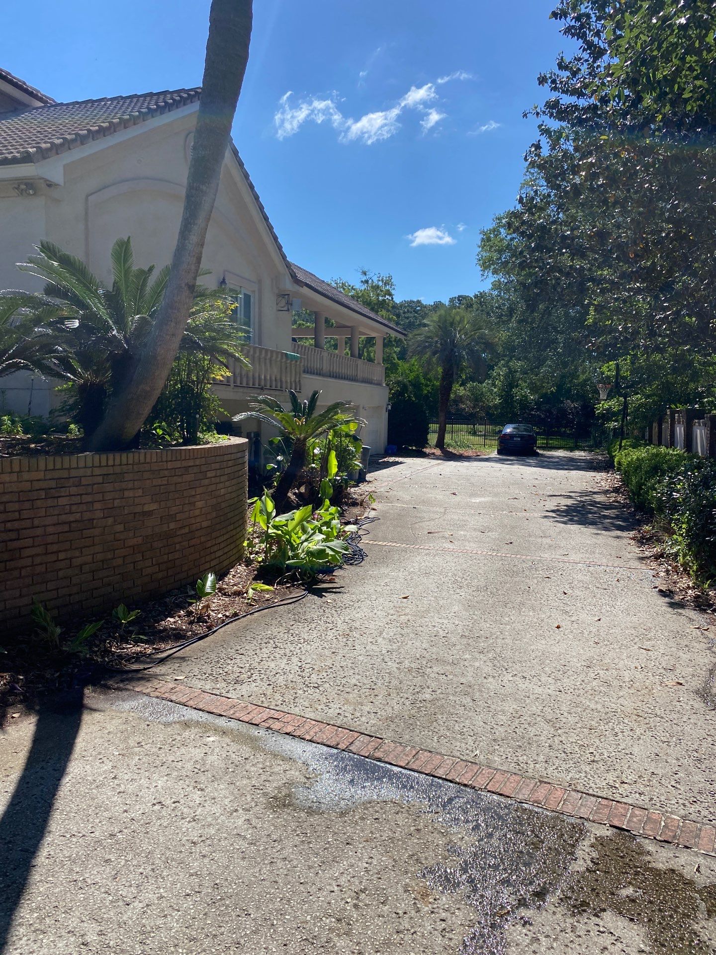 Deerwood Resident | Palm Tree Trimming & Clean-Up by ProGreen Services