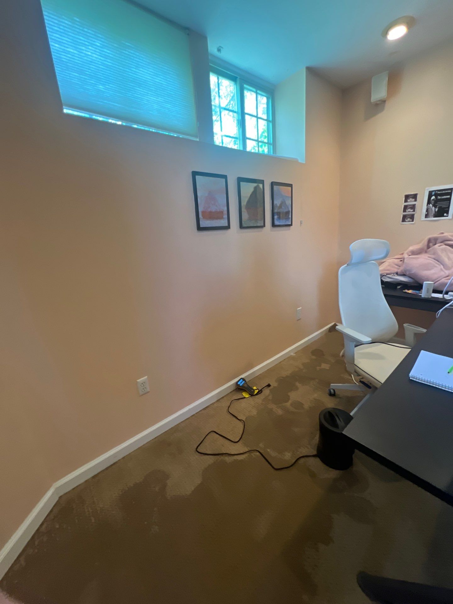 Project in Ann Arbor by EzDry Water Mitigation & Property Restoration