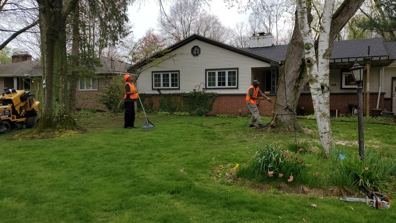 Tree Removal using Tree Removal by Mike Jones & Sons Tree Service LLC 