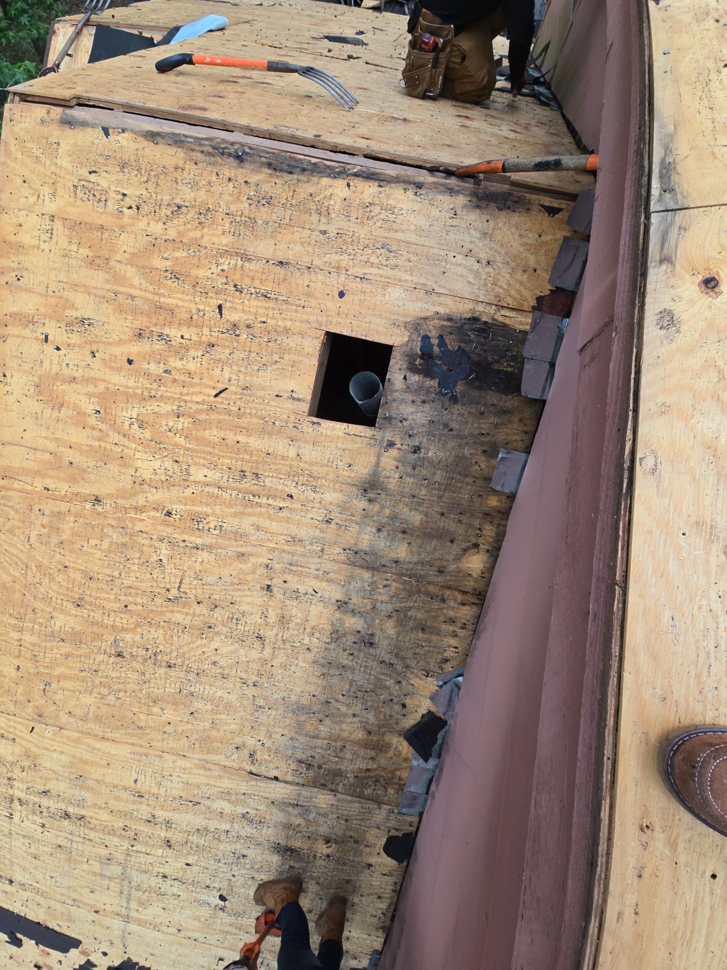 Roof Replacement Spring by Roof Repair Company