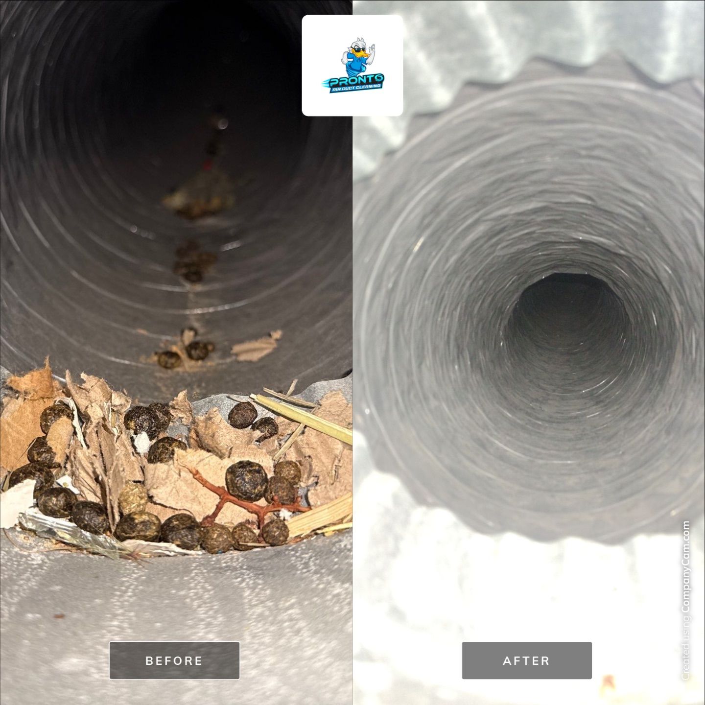 Air Duct Cleaning Manassas Park VA by Pronto Air Duct Cleaning