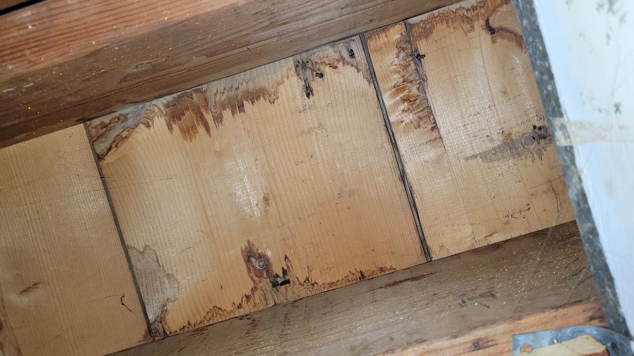 Sewage Pipe Break in the Attic by Chicagoland Water Medics