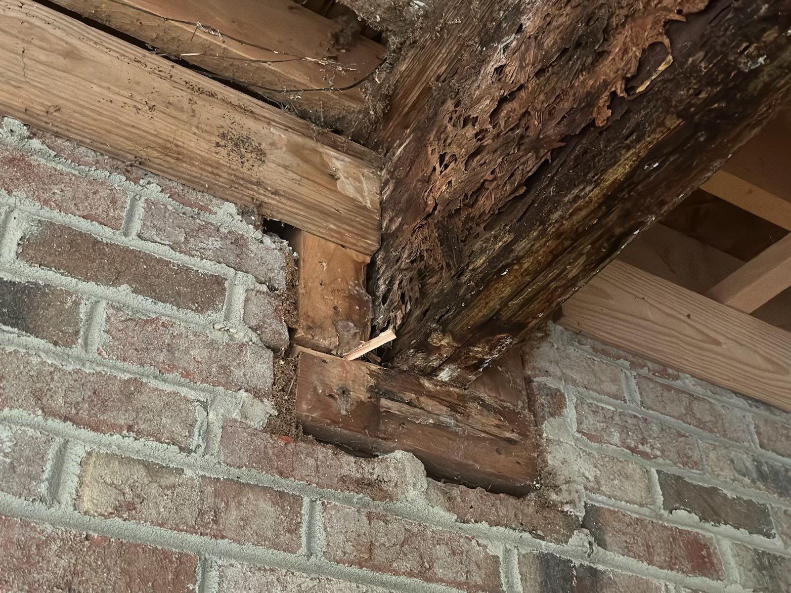Clayton Roof Replacement and Structural Wood Rot Repair Project by Cadmus Construction