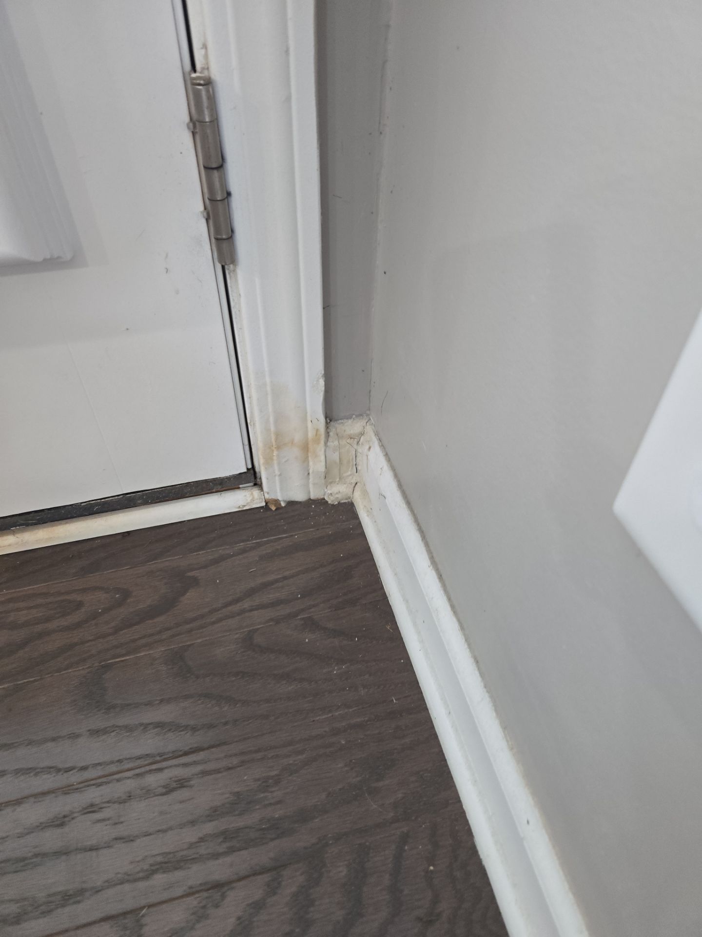 Rotted Door Replaced! Thermatru with Built-In Blinds by A Step Above Handy LLC 