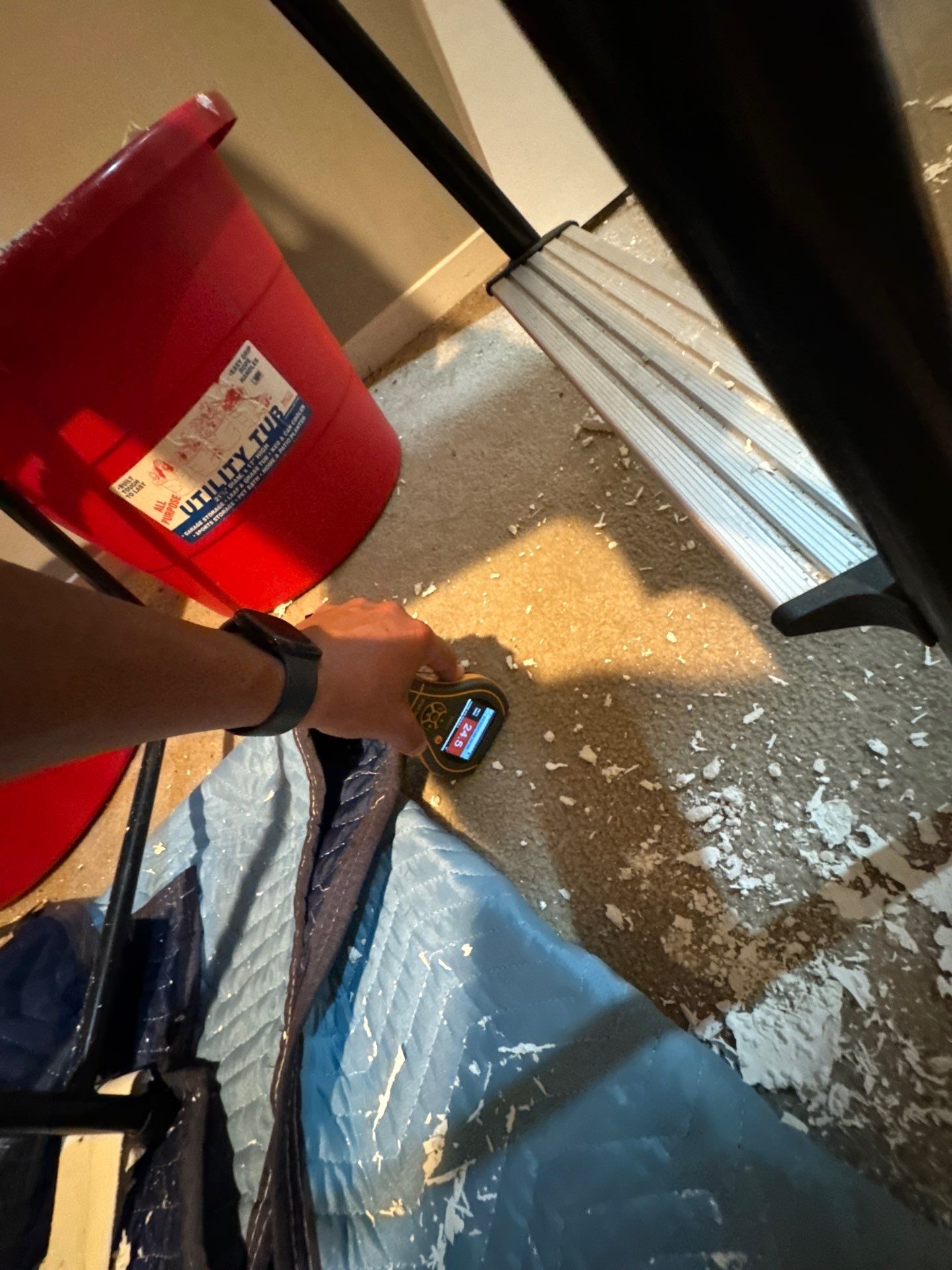 Project in Novi by EzDry Water Mitigation & Property Restoration