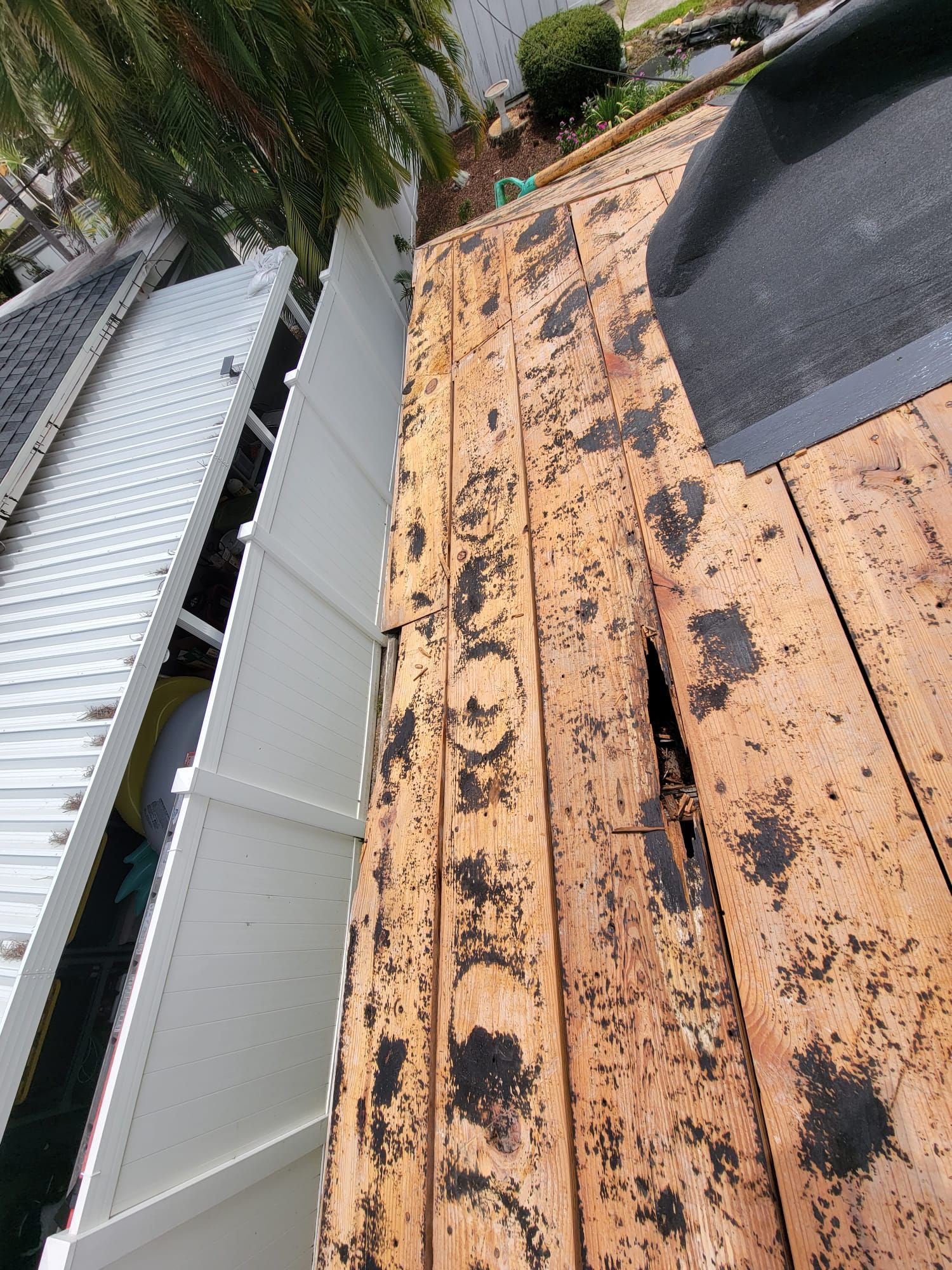 Project in St. Petersburg 33714 by Mitchell Roofing Company LLC 
