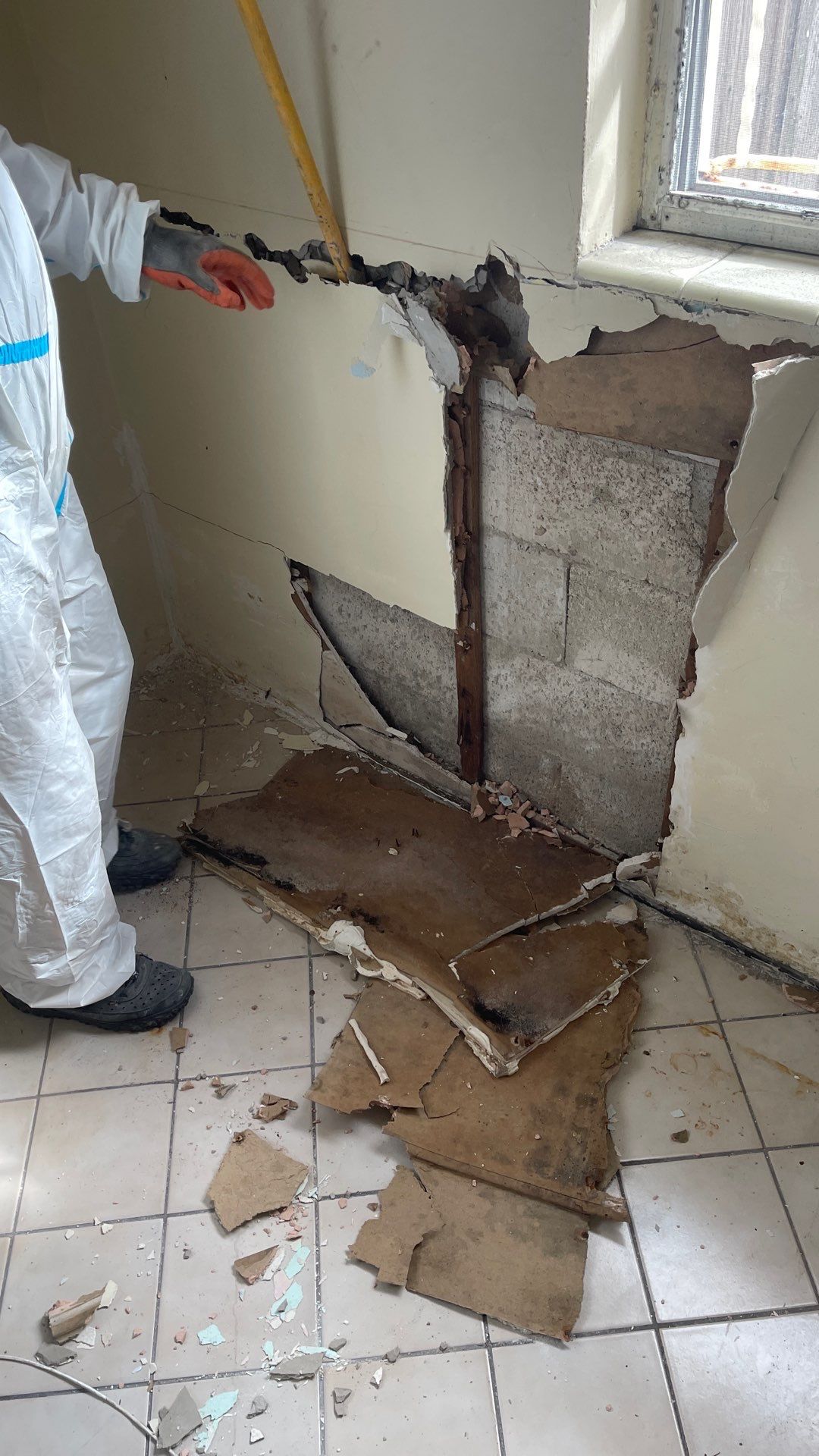 Mold Remediation  by THE RAPID TEAM