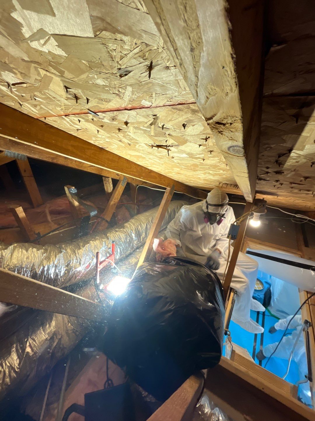 Insulation Removal by EAS Environmental, LLC.