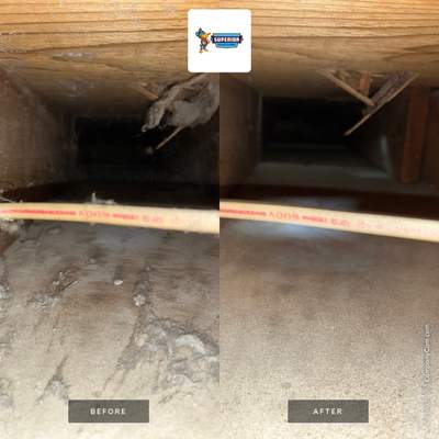 Air Duct Cleaning With a Vacuum Truck in Allison Park, PA