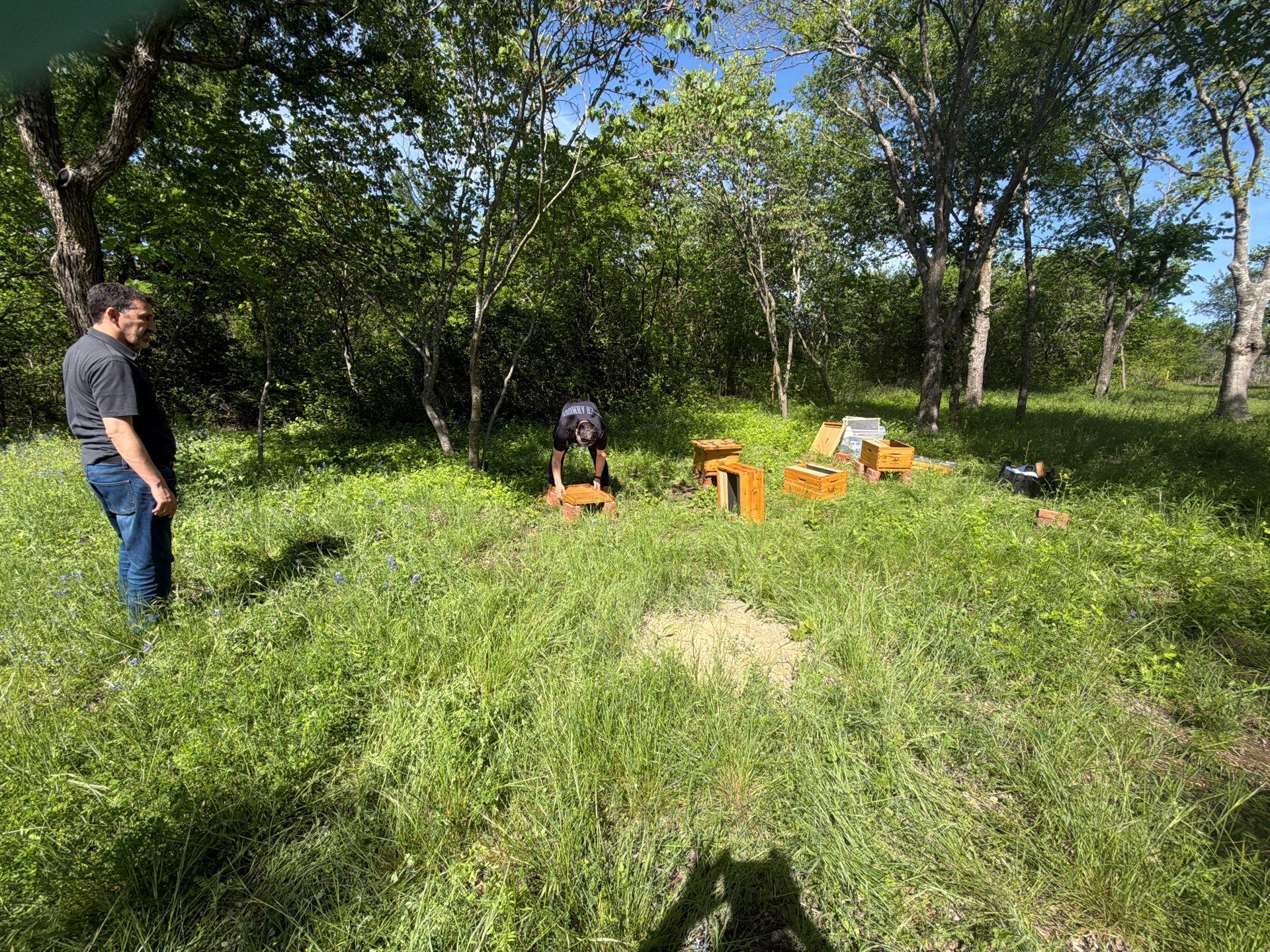 New Beekeeper in Maypearl by Rockwall Honey Bee Company