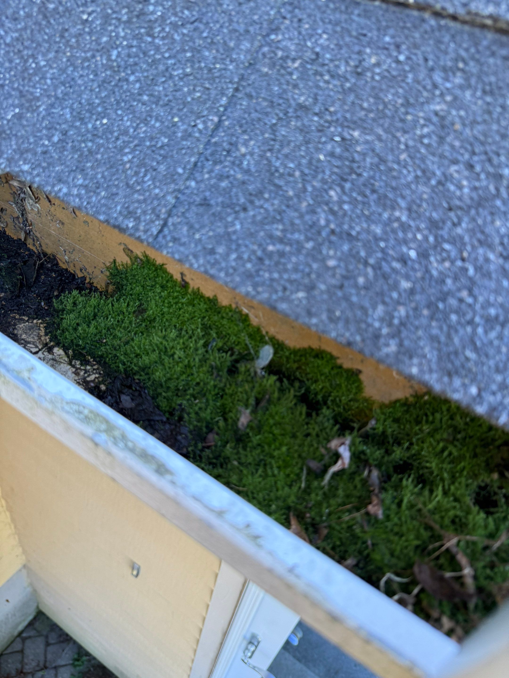 Westford Complete Gutter System with New PVC Fascia Upgrade by Mighty Dog Roofing of Greater Middlesex County