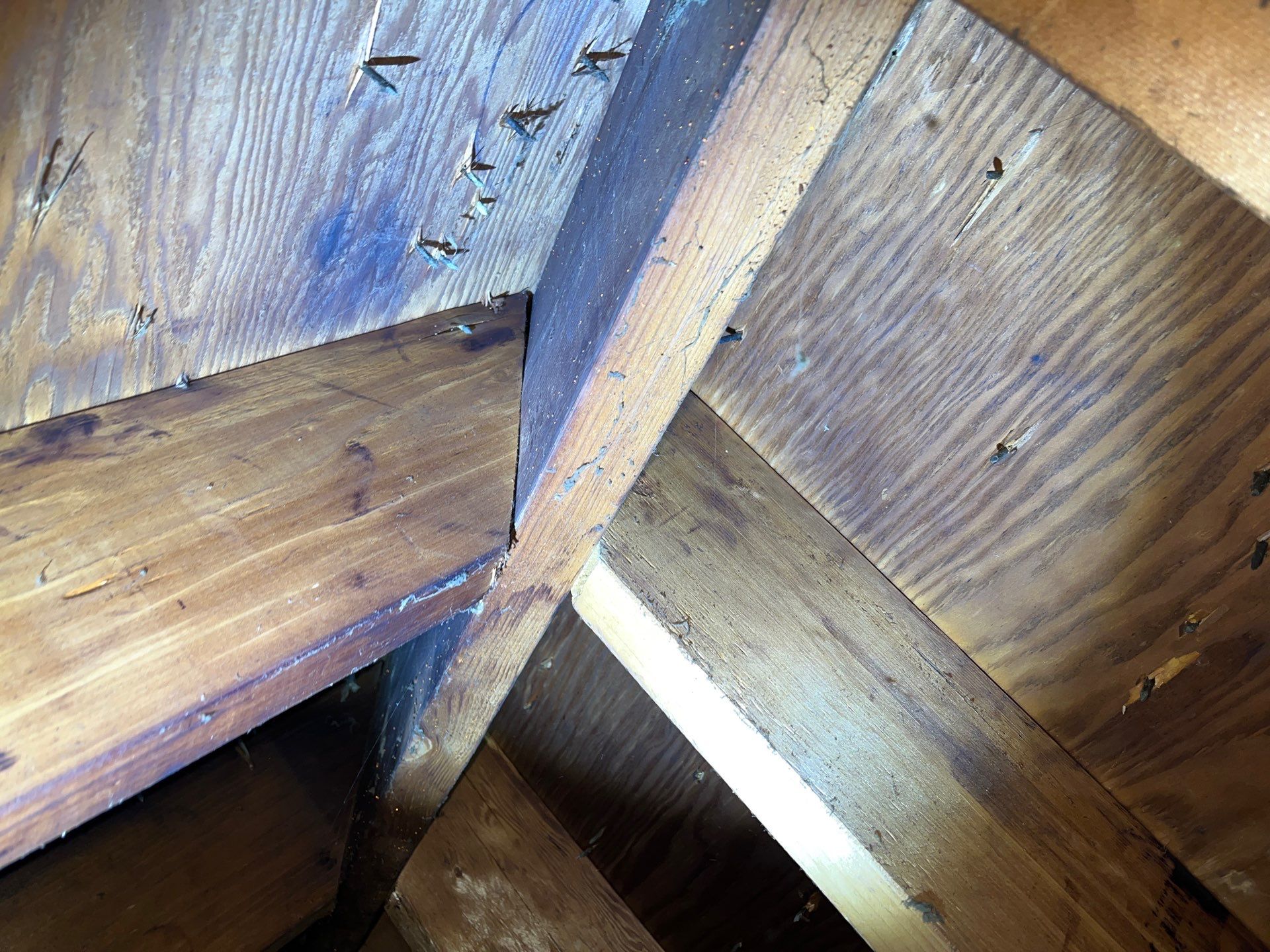 Pittsburgh Attic Insulation Upgrade and Comprehensive Mold Remediation by Home Environment Solutions