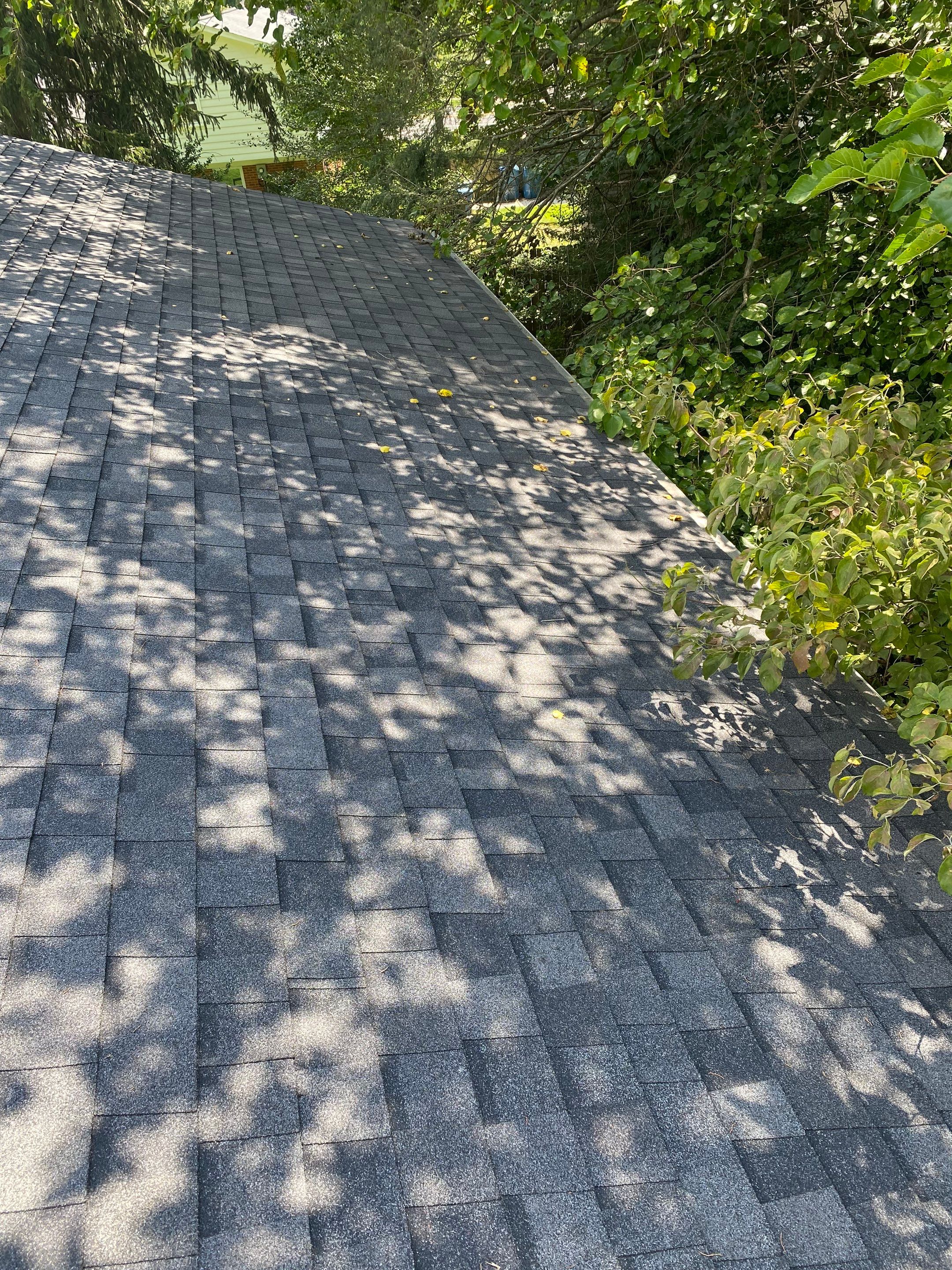 Vienna: CertainTeed Landmark Pro Architectural Shingles in Max Def Pewterwood by RM Banning, Inc.