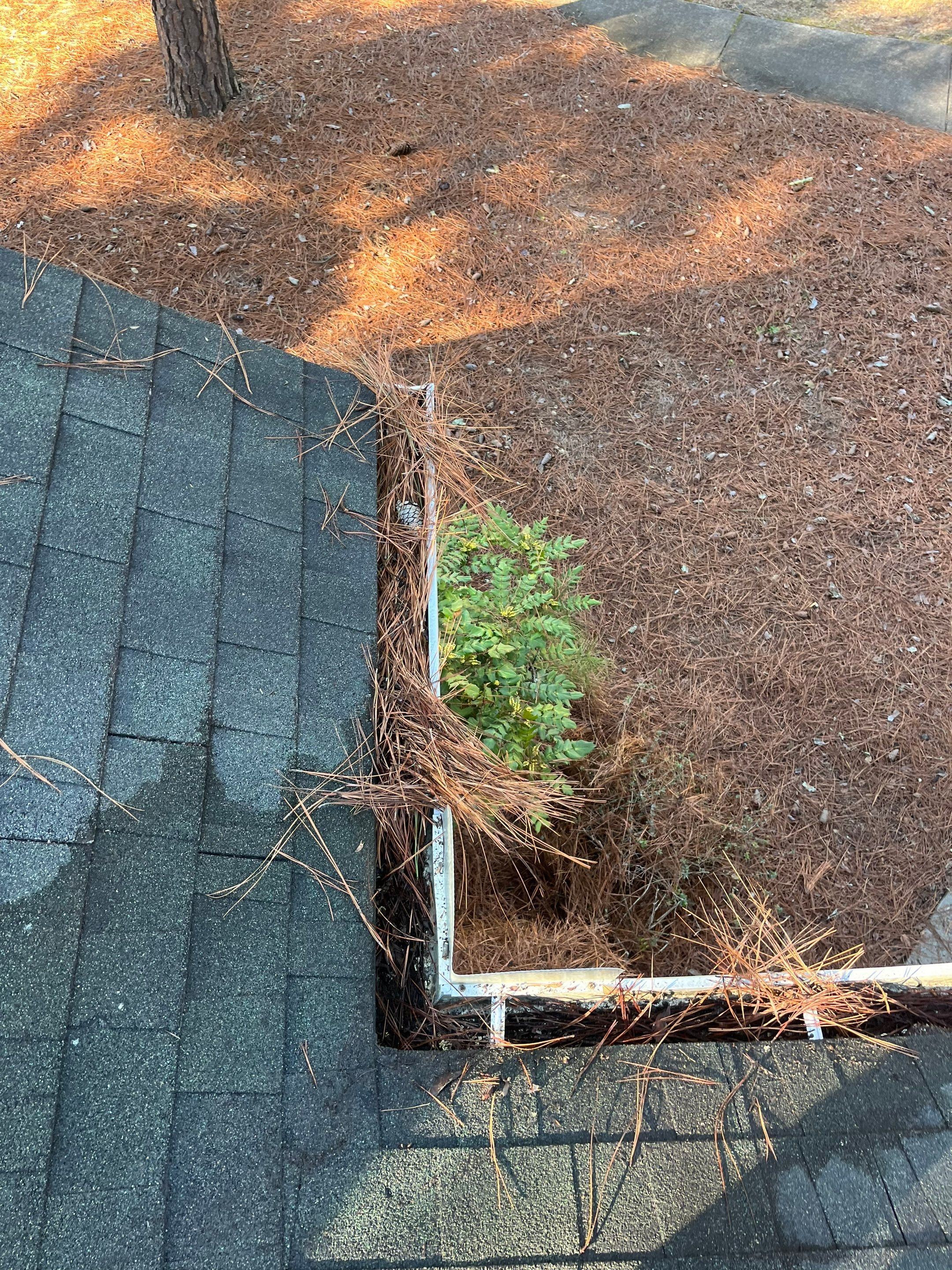 Commercial gutter cleaning Pinehurst & Southern Pines, NC before photo with filled gutters