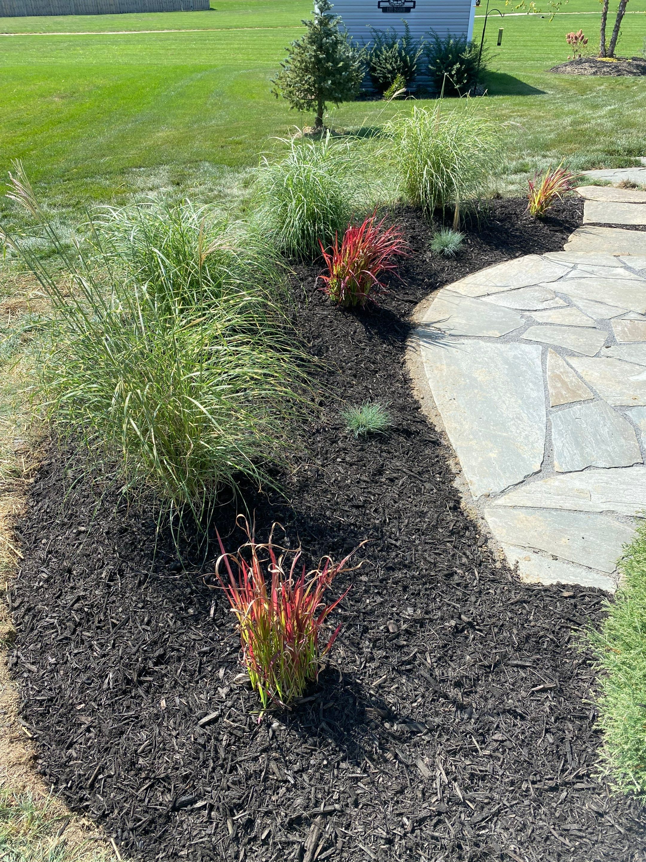 Chippewa Lake Project by Elm Rose Gardens