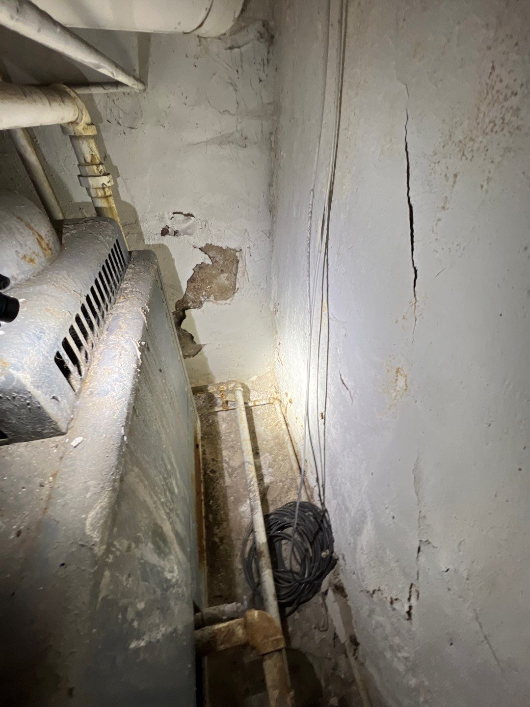 Mold Remediation by Accountable Home Services