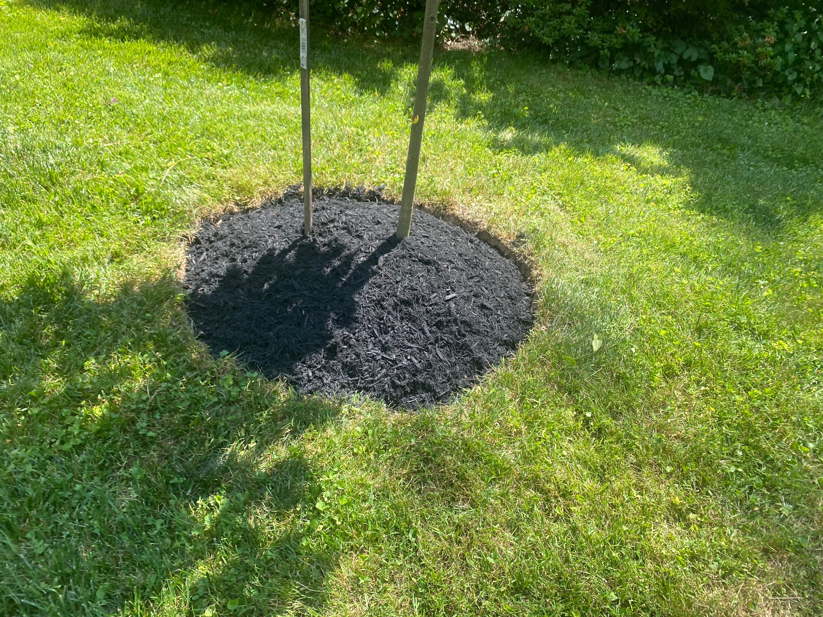 Landscape cleanup & drainage by The Smet Companies, LLC
