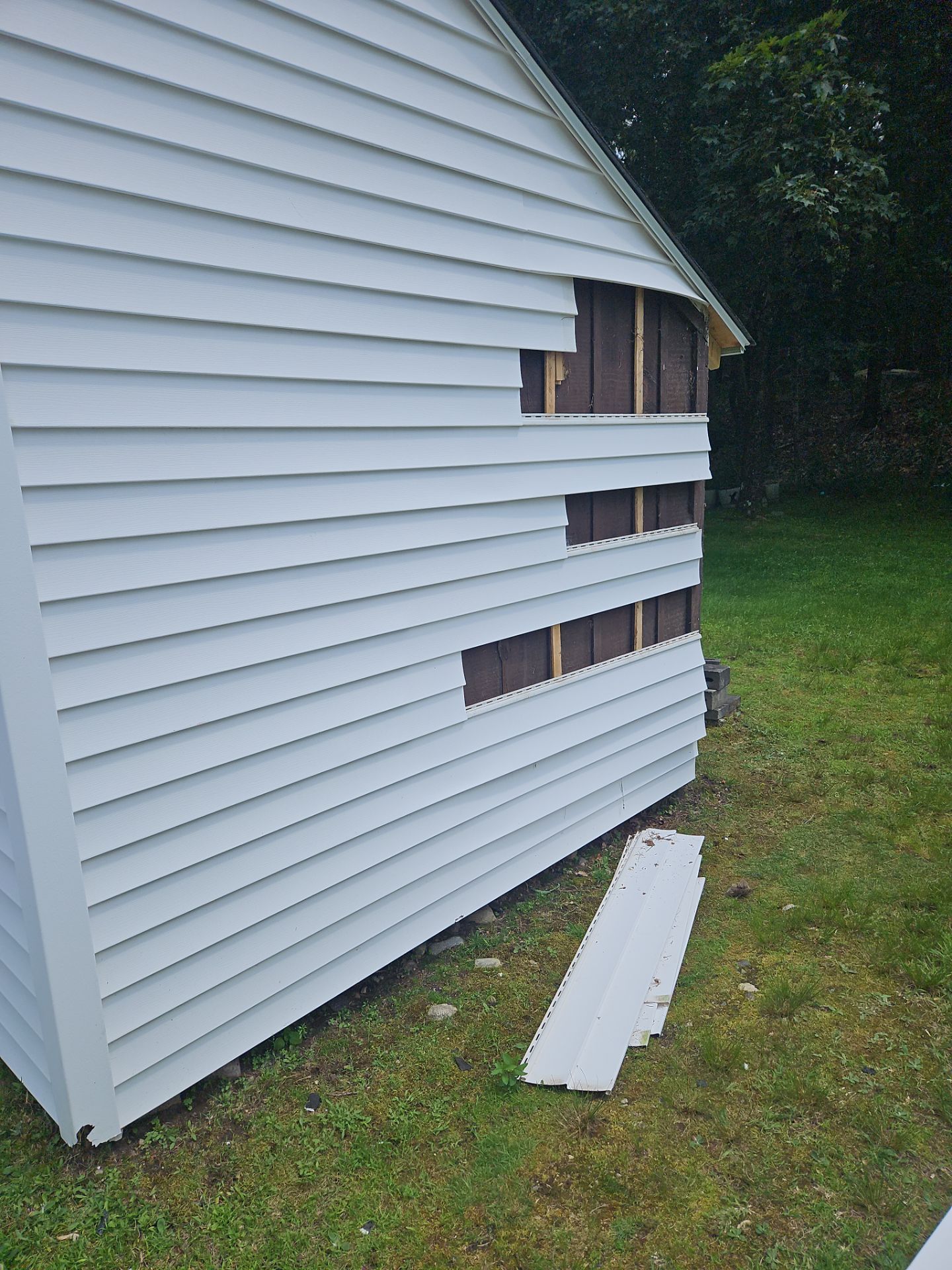 Siding, Roofing & Windows | Wilmington by Mighty Dog Roofing of Greater Middlesex County
