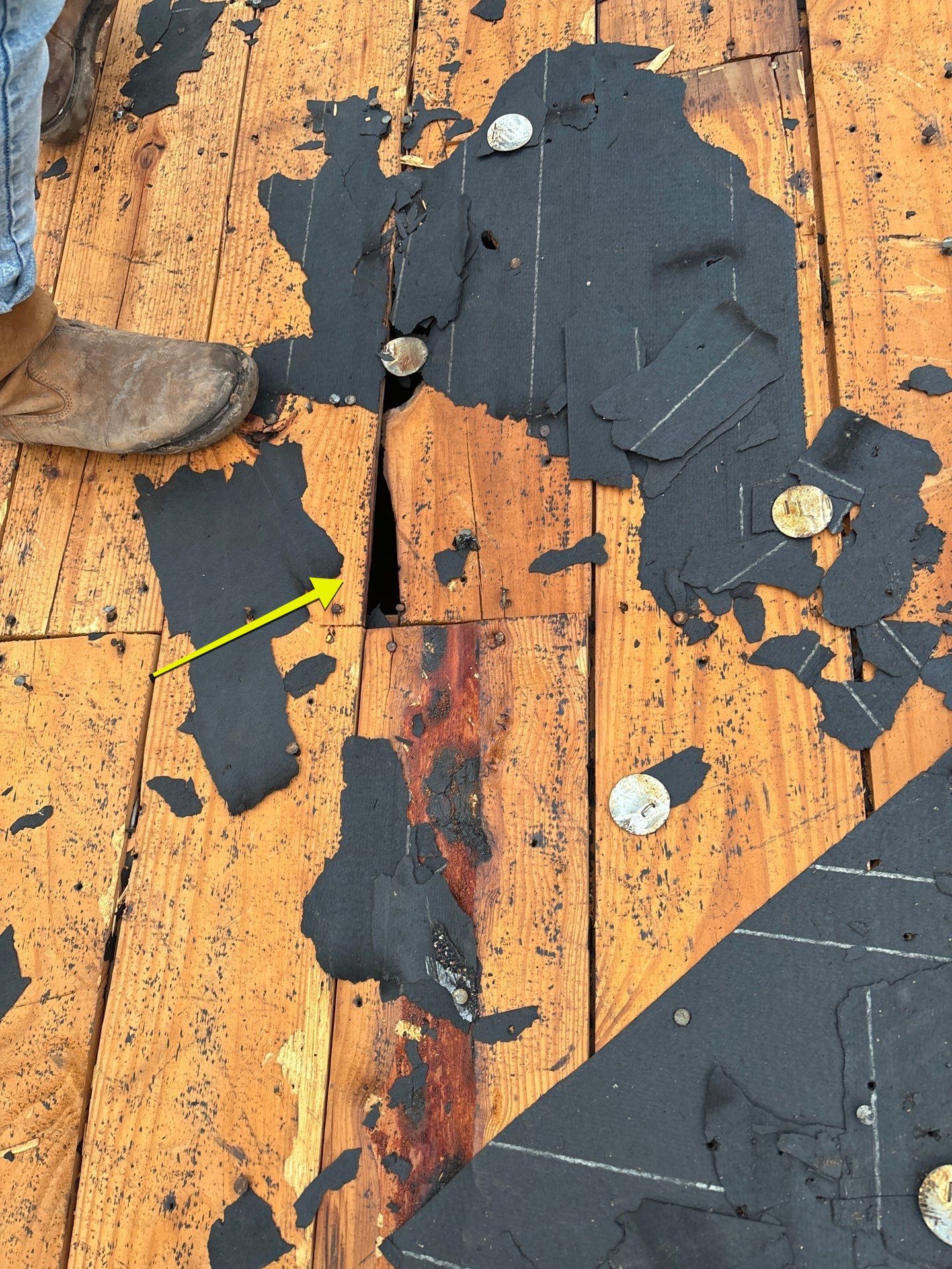 Roof Replacement Humble by Roof Repair Services LLC