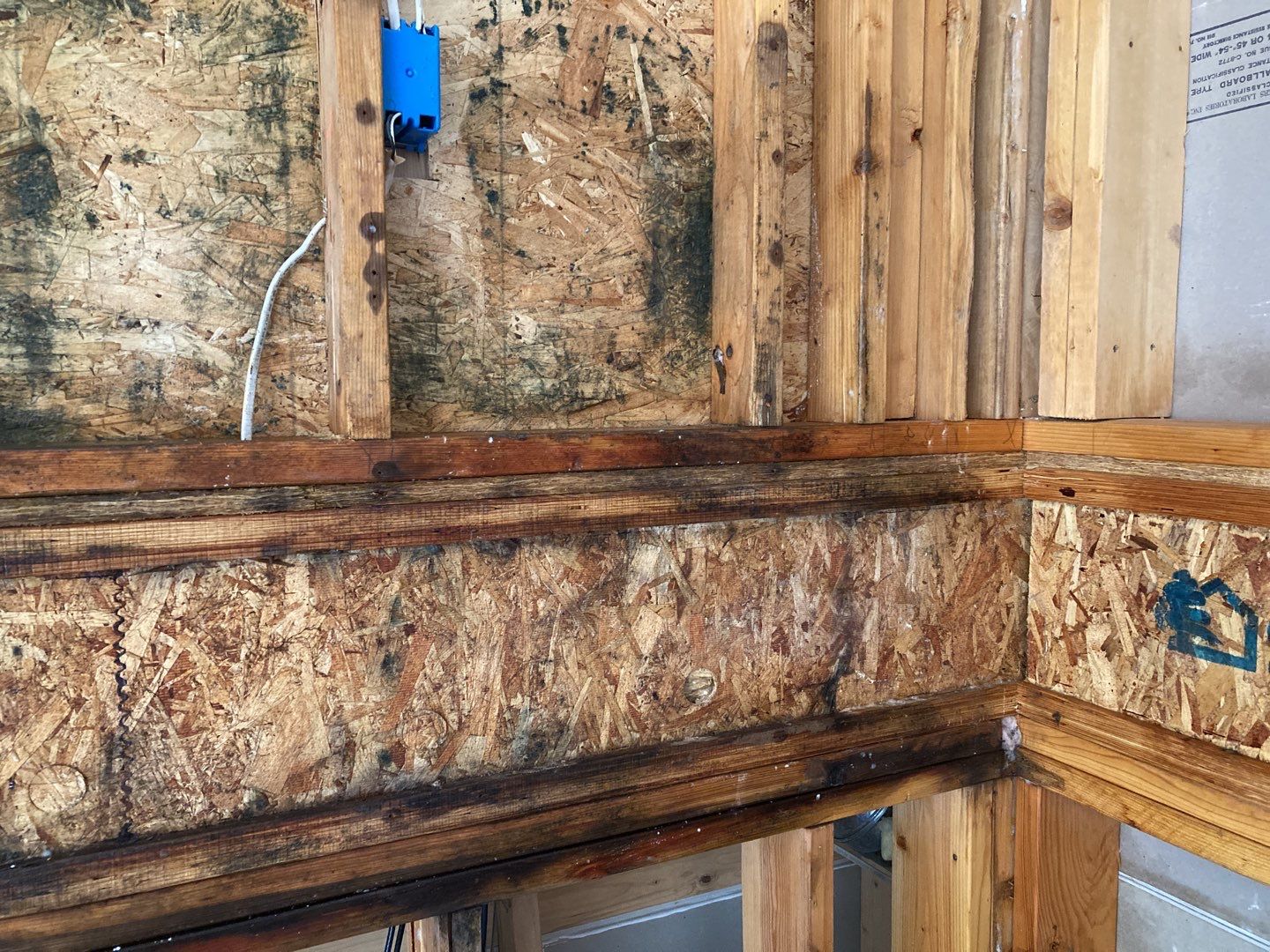 Mold Remediation using Containment by Accountable Home Services