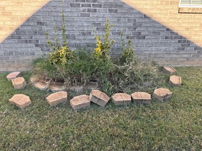 Project in Monroe