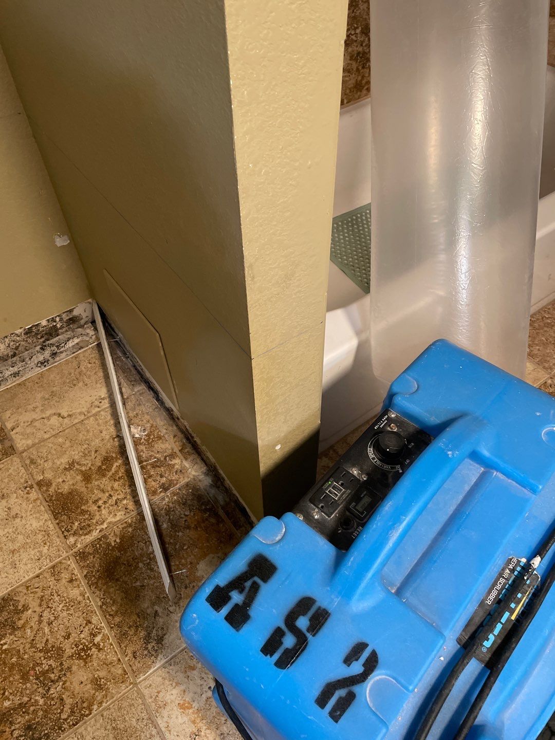 Water Damage and Mold Remediation by Accountable Home Services