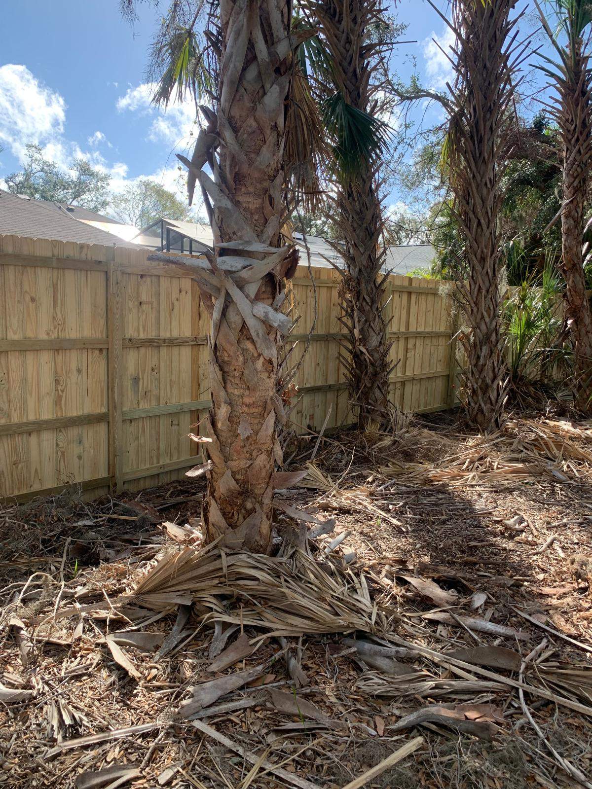 Pressure-Treated Wood Privacy Fence Installation in Sarasota by True Fence LLC