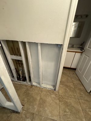 mold remediation