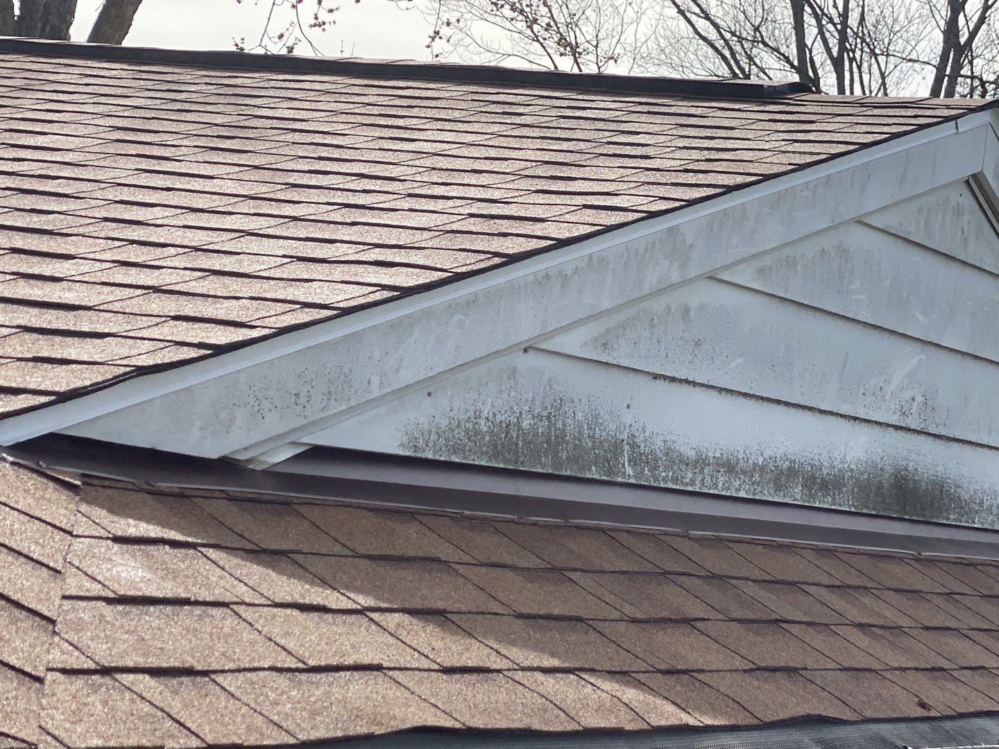 Robert Gerrets by Silver Leaf Contracting 