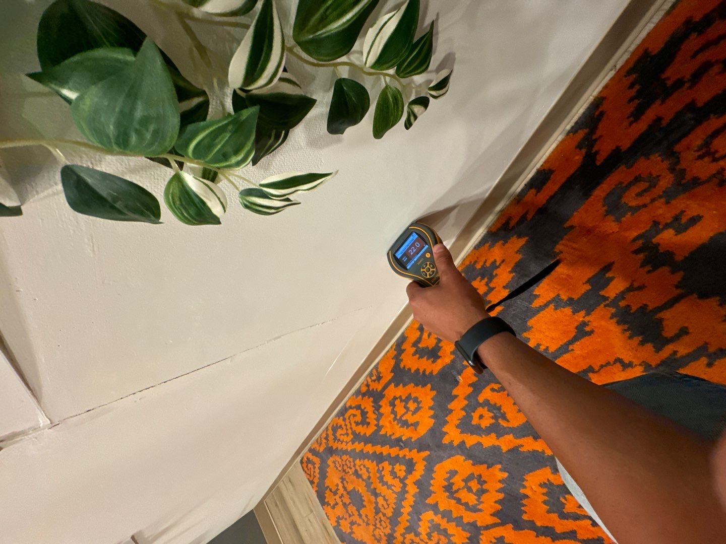 Project in Southfield by EzDry Water Mitigation & Property Restoration