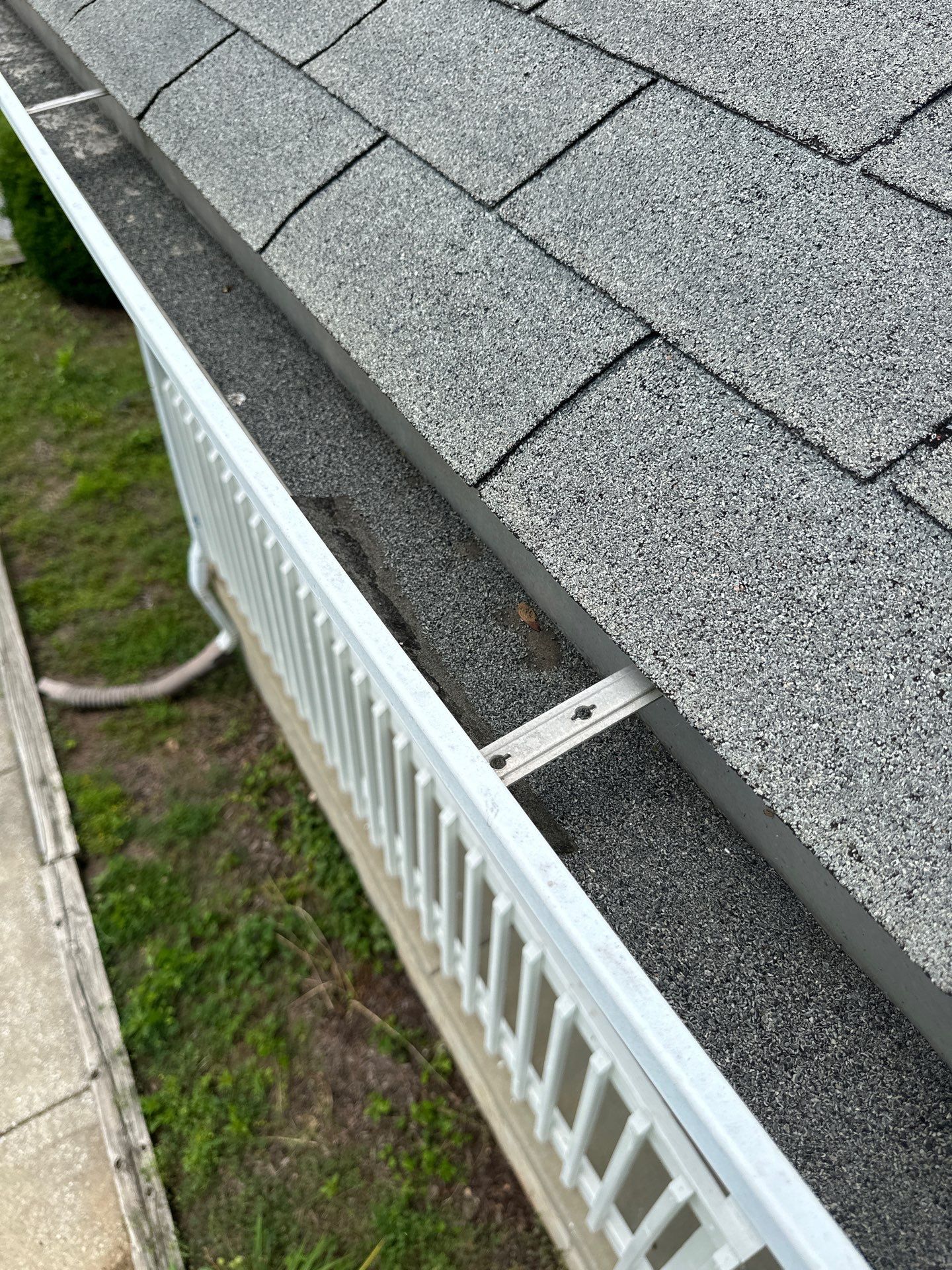 Solid Hail Damage - 3 Tab by Paragon Roofing