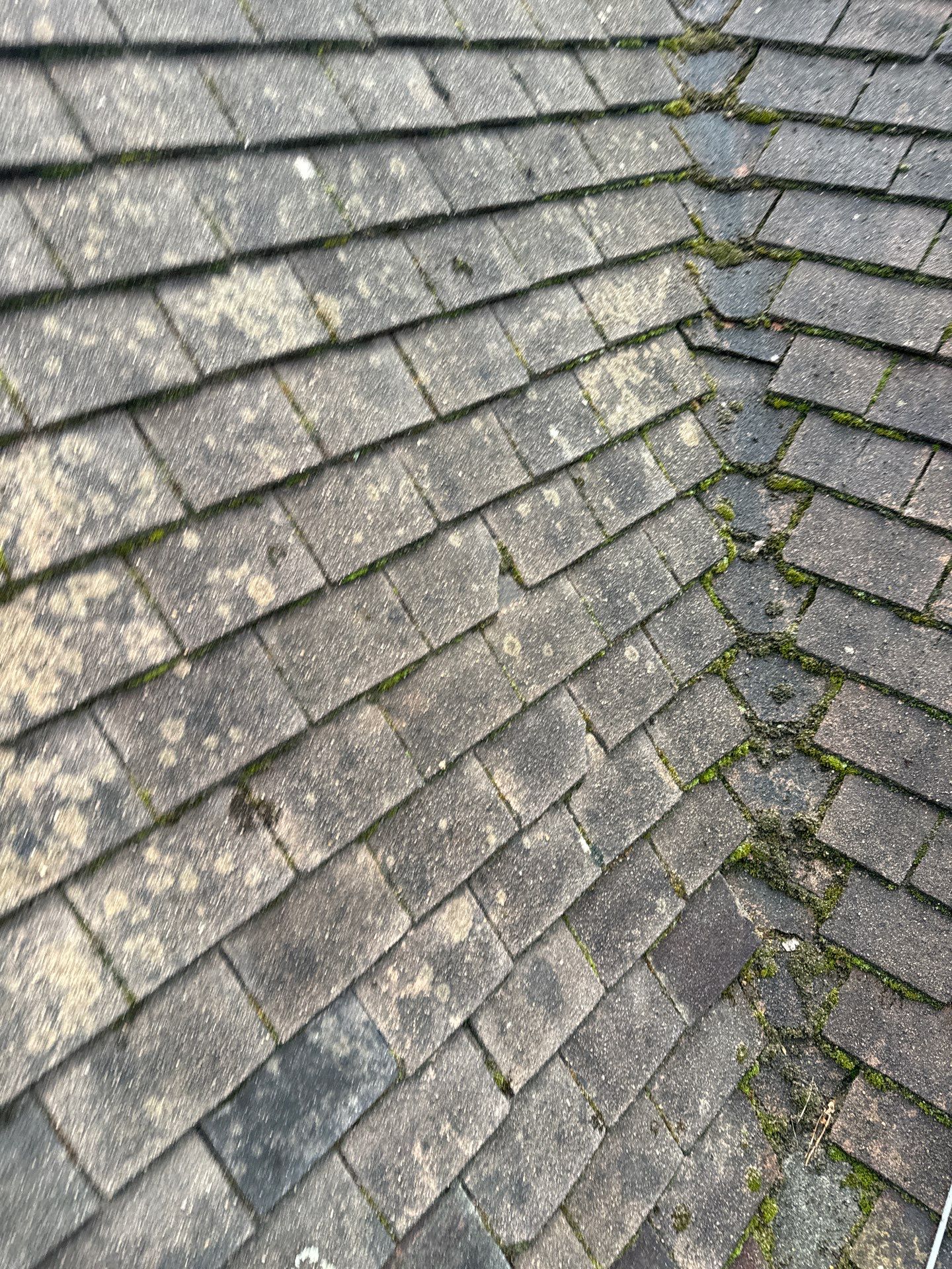 Roof and Patio Cleaning using Honda 15lpm Low Pressure Washing Machine by Ges Exterior Cleaning ltd