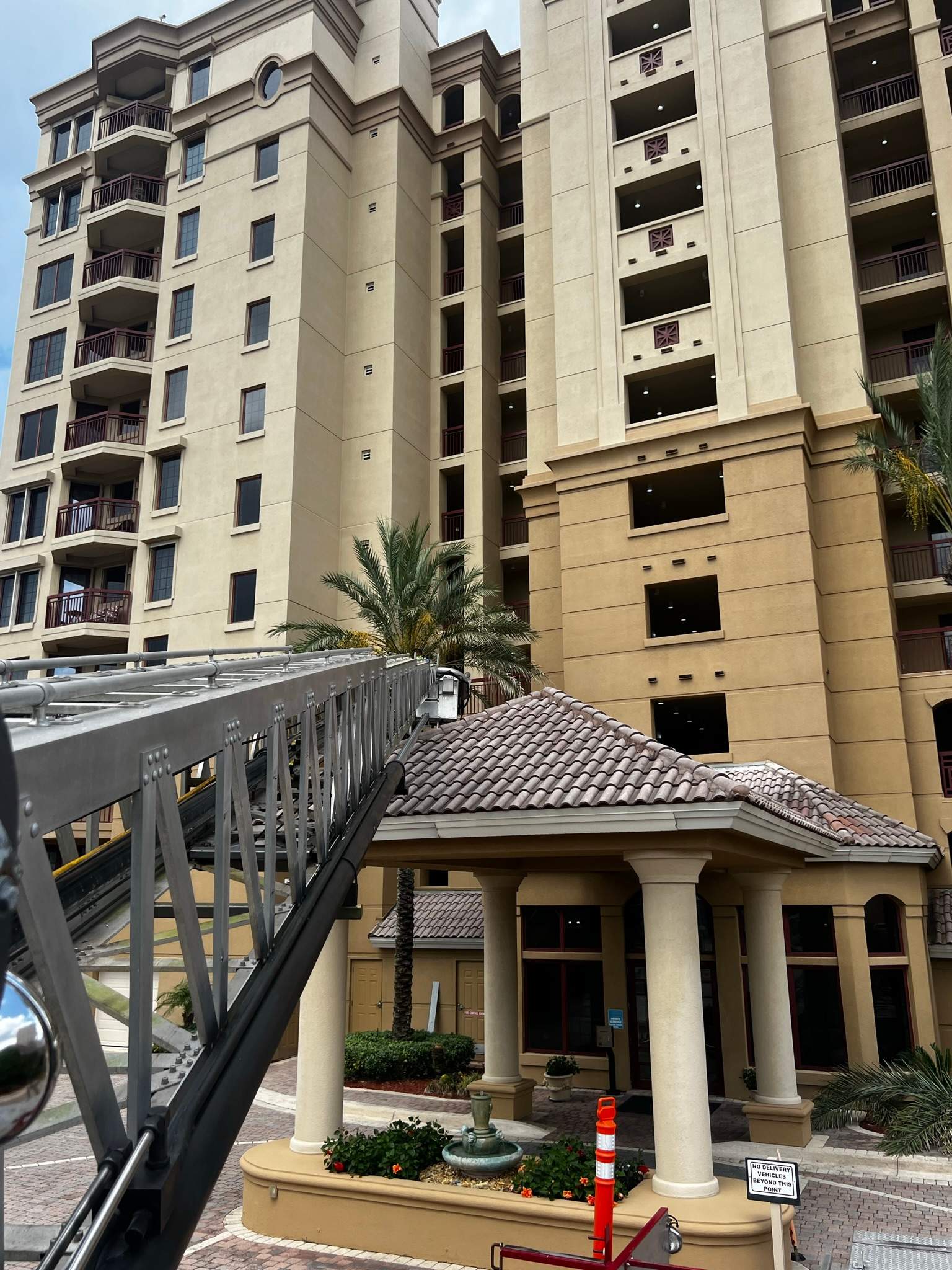 Palm Trimming | Landmark Condominiums by ProGreen Services