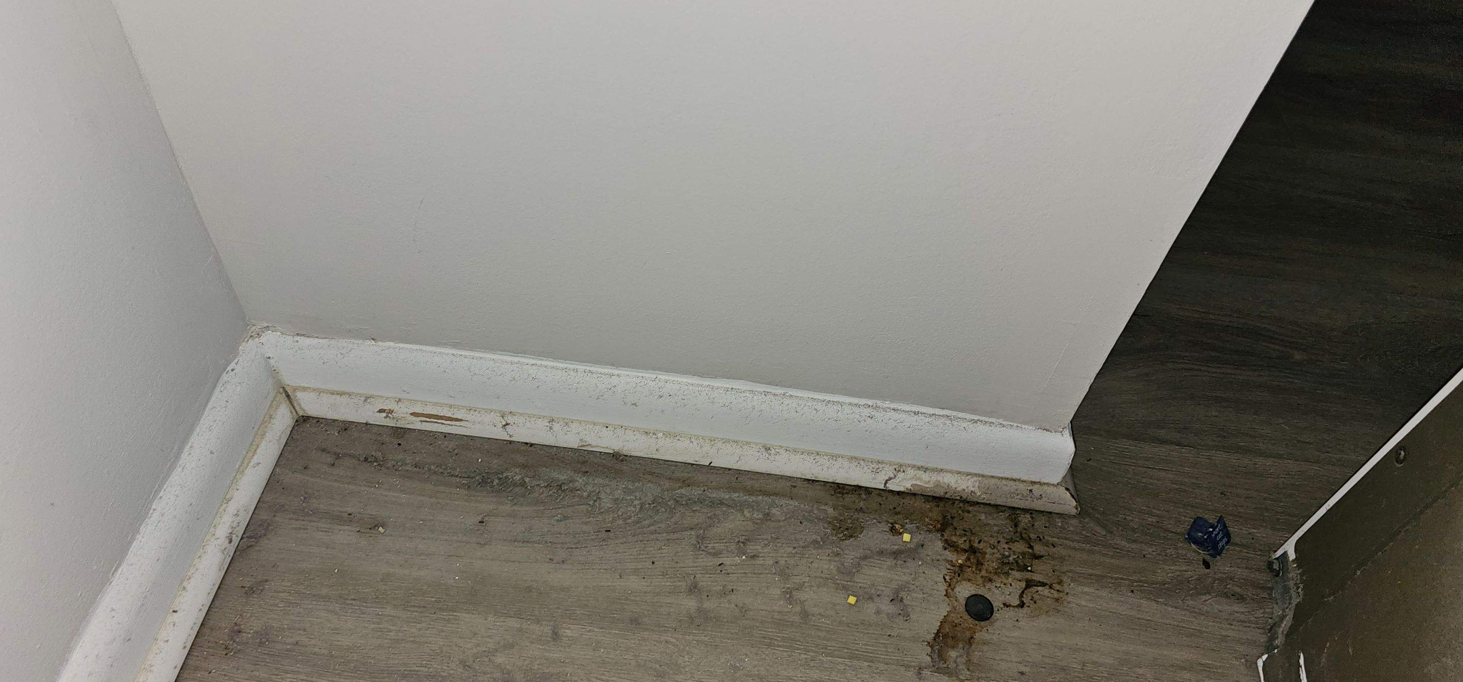 Water Damage Claim in Deerfield Beach by FLAPA & KeyStone