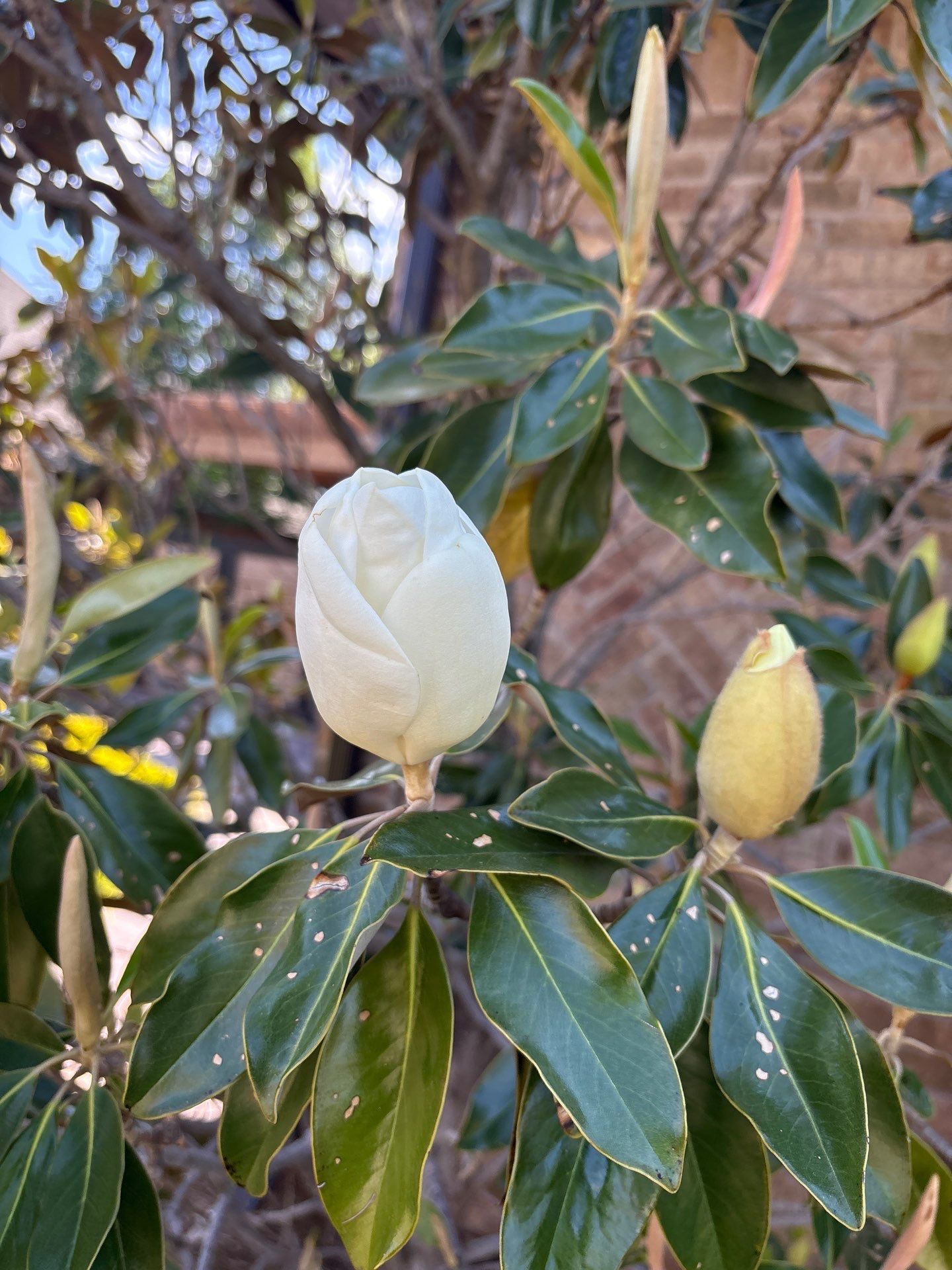 Roofing Inspection in Oklahoma City by McCann's Roofing and Construction