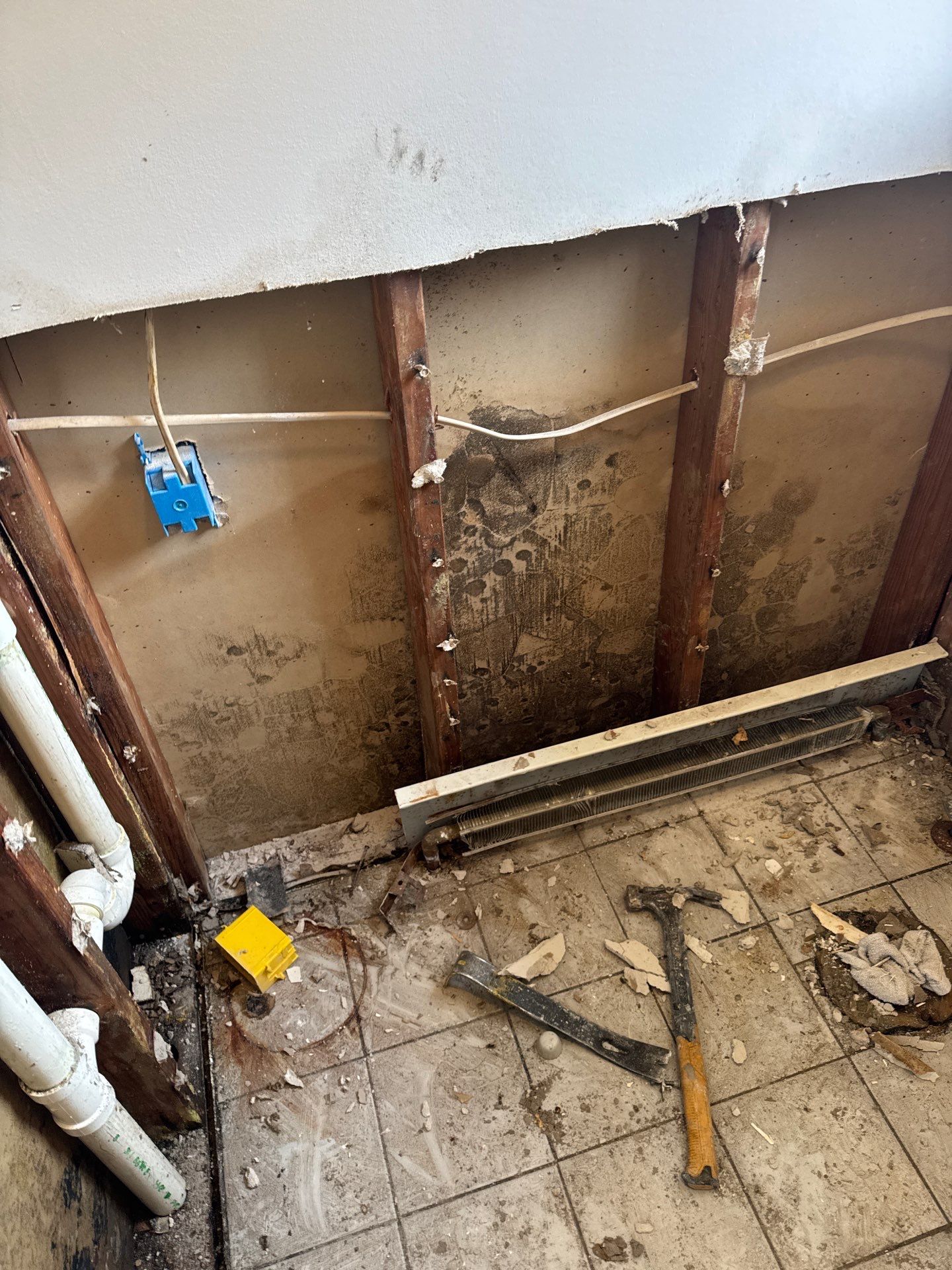 Mold Remediation and Water Damage Repair in Stonybrook, NY by Newhouse Restoration