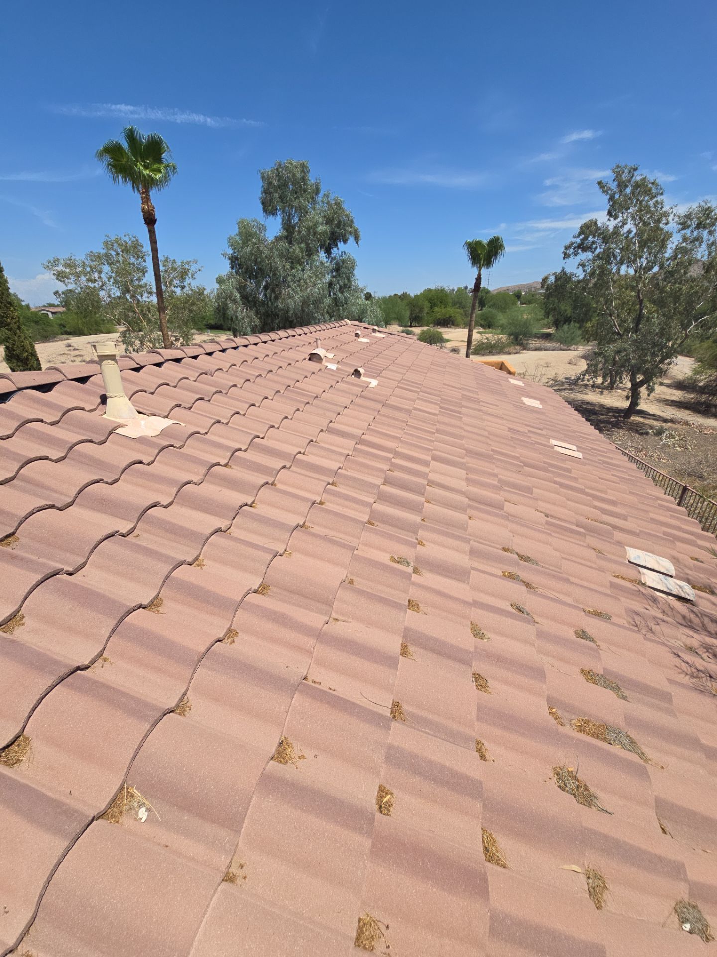 Project in Phoenix, AZ by Showtime Roofing & Coatings LLC