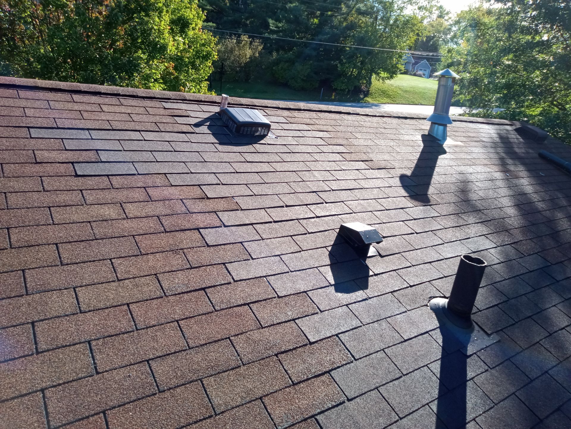 John Randall by Silver Leaf Contracting 