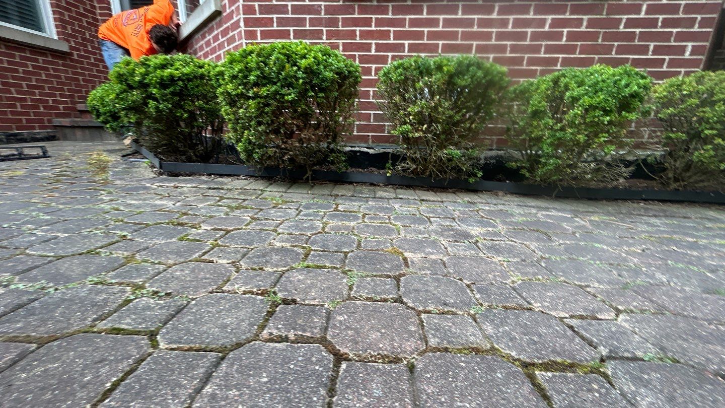 Brick paver repair, clean and seal by Northern Power Washing LLC.