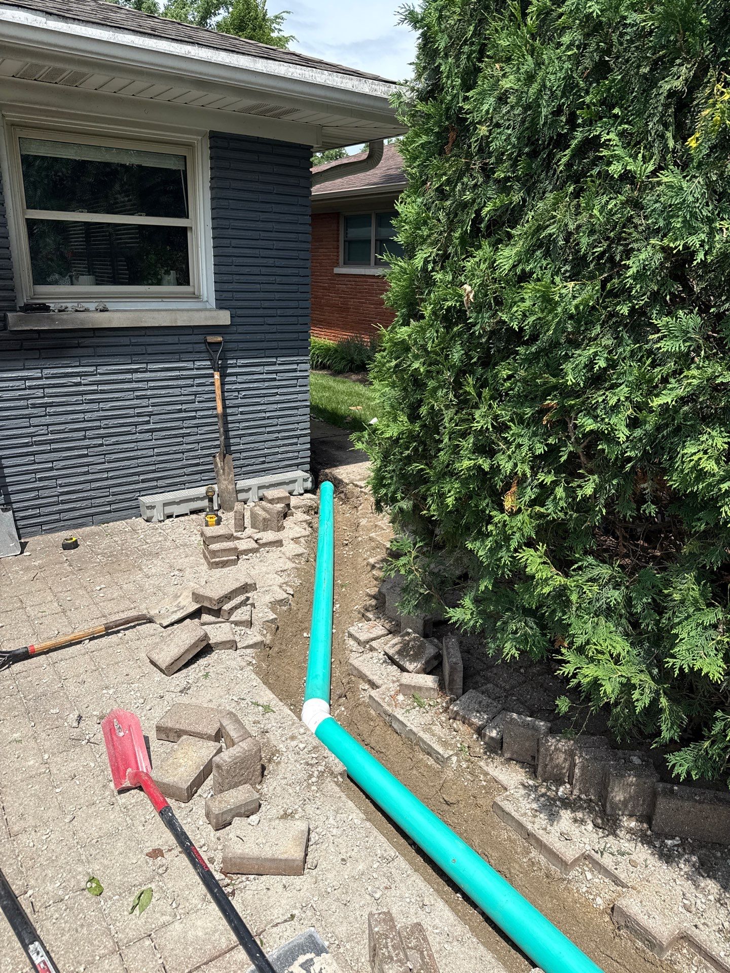 Brian M. - Mount Prospect, IL by A&N