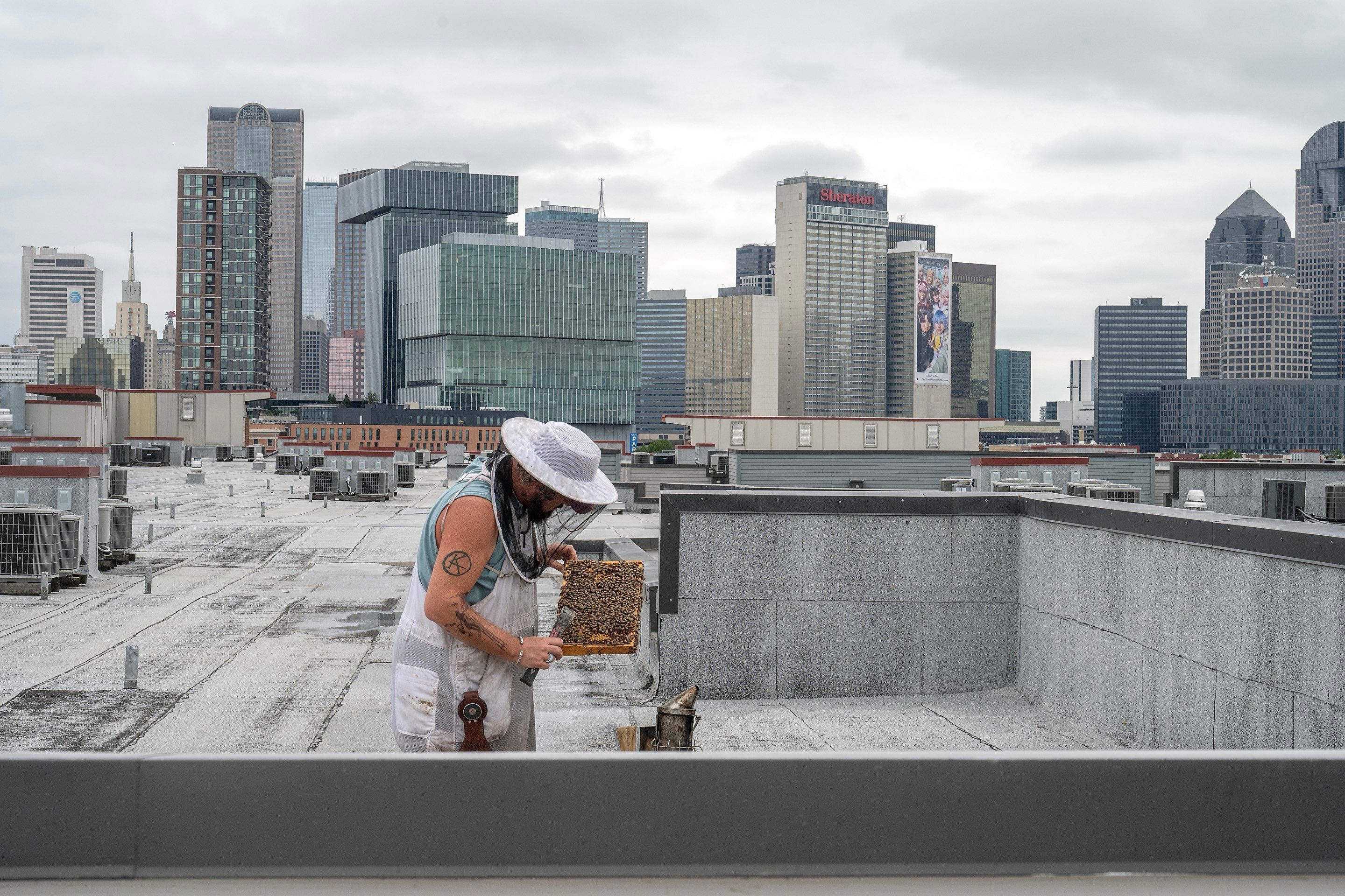 Urban Beekeeping in Dallas by Rockwall Honey Bee Company