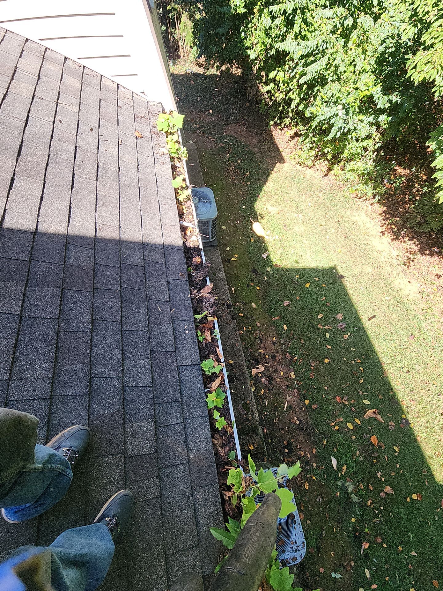 Commercial gutter cleaning Lynchburg, VA before photo with filled gutters