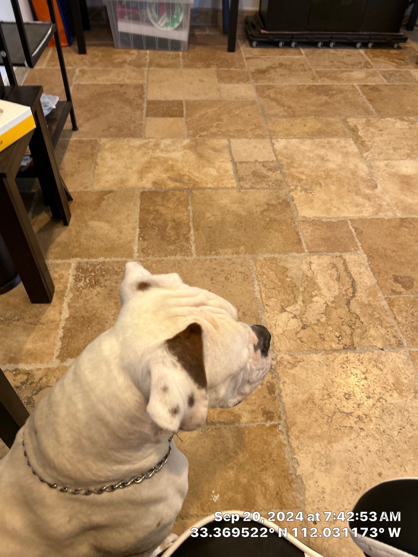 2-Day remodel, record time  by CompanyCam Sales Demo