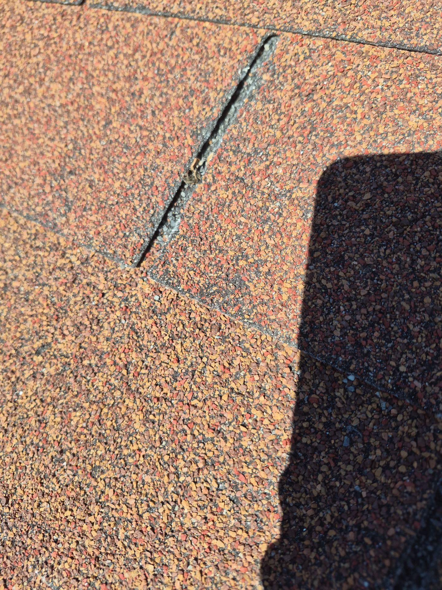 Residential Tarp Repair by Becker Roofing and Exteriors