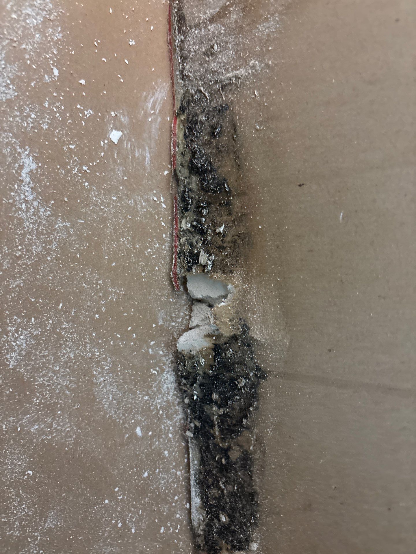 Water Damage Restoration In Sarasota by Ampm Restoration Services